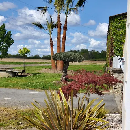 Les Cuves - - D'hotes Et Bed and breakfast Saintes