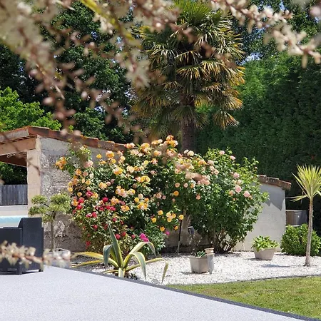 Les Cuves - - D'hotes Et 3* Saintes